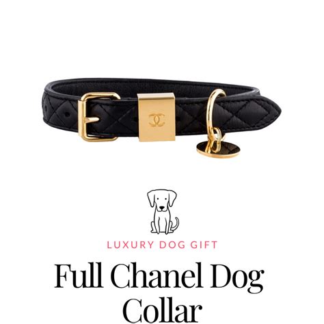 chanel inspired dog collars|designer dog collars Chanel.